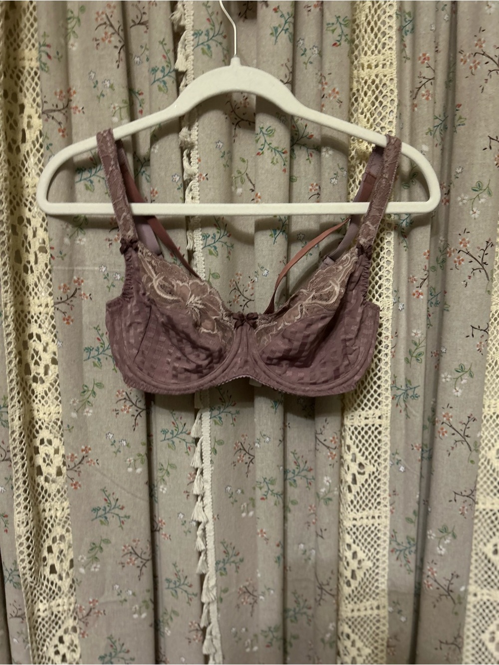 Prima Donna Madison Mauve Lace Underwire Bra 34c Luxury Lingerie